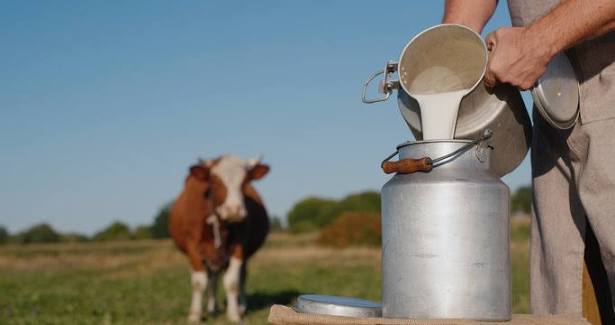 RAS-EDU_Dairy_Stage3-Kit