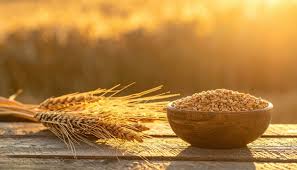 Golden Grains Stage 3