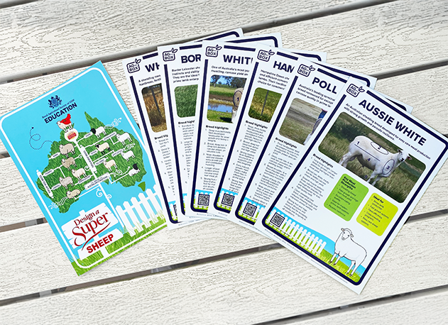 Sheep_LambLogic_Sheep-Breed-Cards_Image